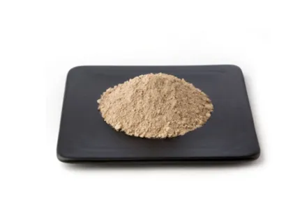 Supply Pure Natural Fucoidan Powder CAS# 9072-19-9
