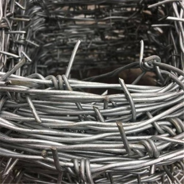 Anti-theft Fence Barbed Wire Double Strand Spot Goods