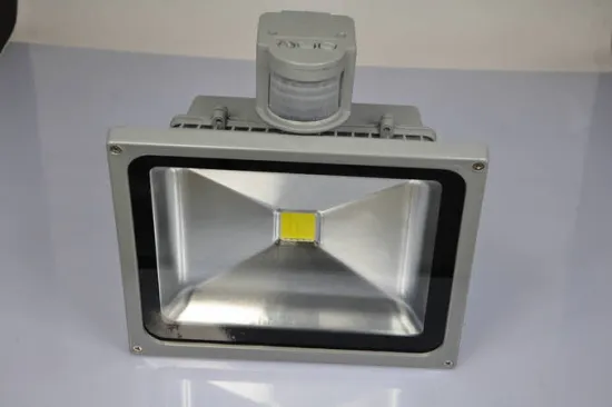 Ip65 Waterproof Outdoor Led Flood Lighting, 10w Rgb Pir Led Floodlight For Hotel, Stage, Park Light