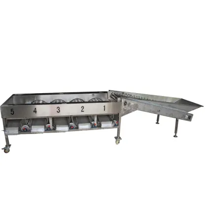 Commercial Longan Fruit Sorter Grader
