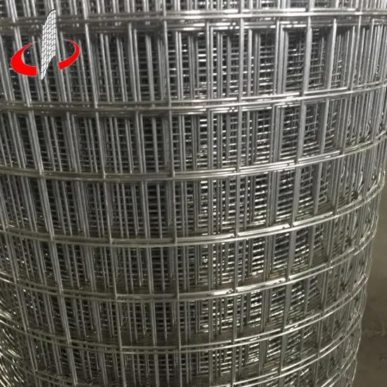 China-Made Stainless Steel Galvanized Welded Wire Mesh