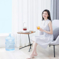 Xiaolang TDS Vattendispenser Elektrisk vattenpumpanordning
