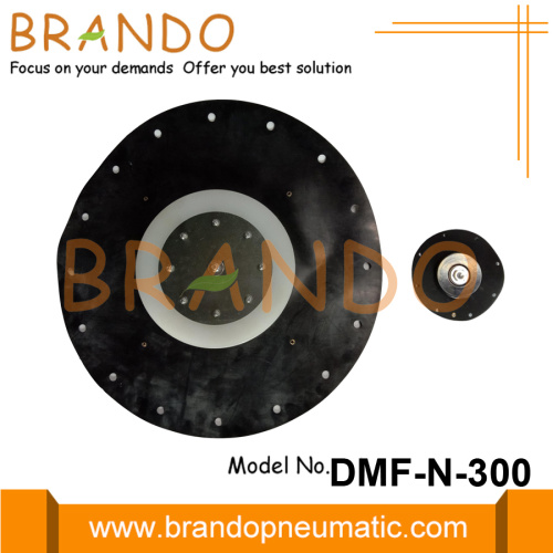 12&#39;&#39; BFEC DMF-N-300 Pulse Jet Magnetventilmembran