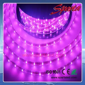 IP66 led strip waterproof 5050 RGB 220V 1m/group