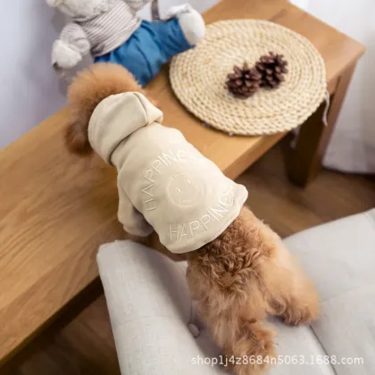 Teddy matching dog and owner clothes