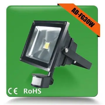 China outdoor pir 30w floodlights low price flood garden light