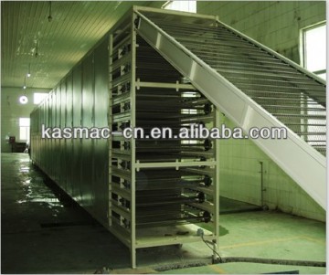 Semi-automatic Rice Noodle Production Line