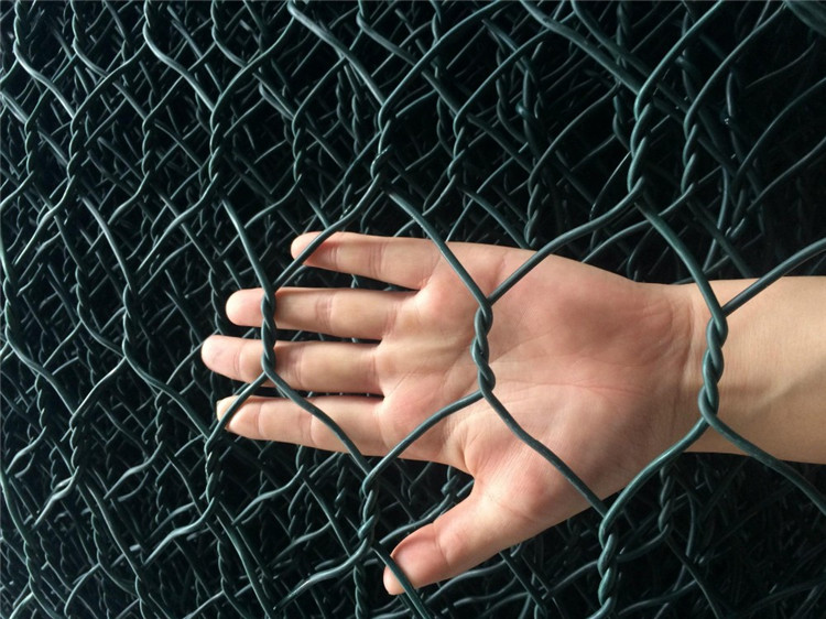 Hexagonal Wire Mesh f