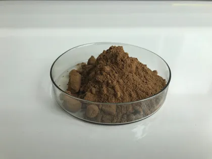 Hot Sell Agaricus Bisporus Mushroom Extract Powder