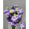 প্রিমিয়াম কৃষক হালকা বেগুনি Lisianthus দীর্ঘ দানি জীবন