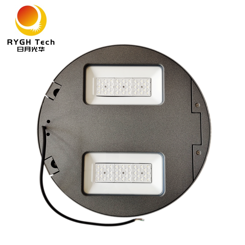 80wledgardenlight04