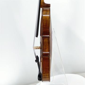 Alunos iniciantes violino comum