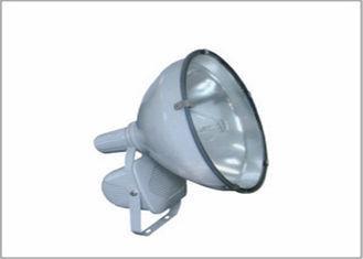 IP65 Waterproof / Dustproof / Shockproof Spotlight , 250W /