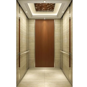  Fuji China Professional Manufacturer 1000kg Passenger Lift for Hotel