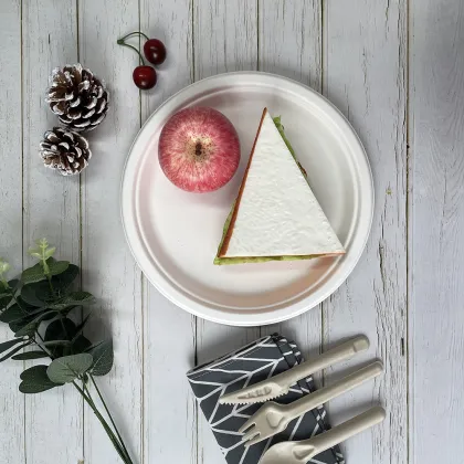dinner plate sugarcane disposable plates degradable dish