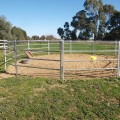 馬のための鋼鉄囲い柵のパネルの塀