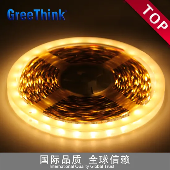 24V High Brightness Warm White Decorative Lighting