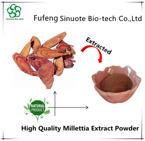 Extrato de Millettia de alta qualidade Millettia Extract Powder