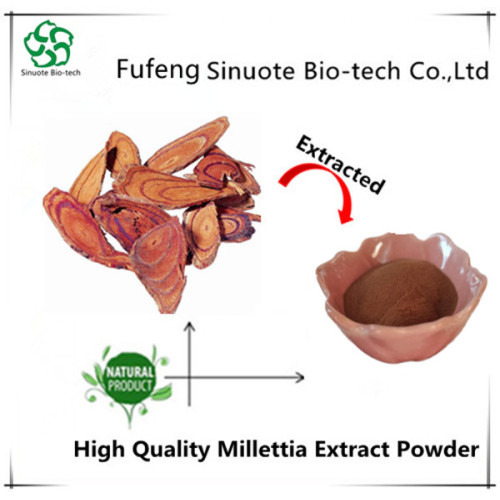 High Quality Millettia Extract Millettia Extract Powder