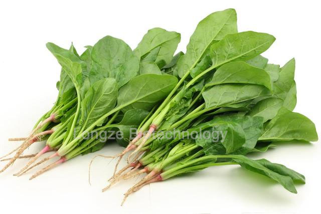 Spinach