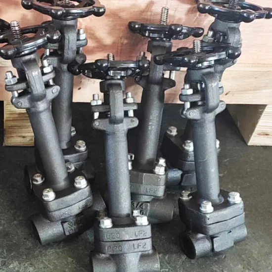 API602 LF2 Bonnet Extended Gate Valve
