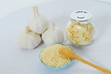 Garlic Flake Withroot Material Top Qualtiy Air Dehydrated