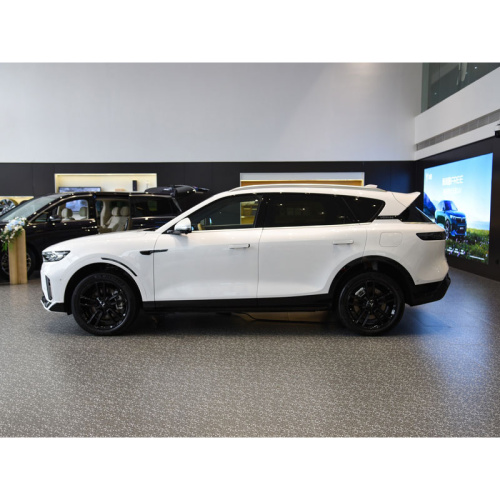 5-seater family car Voyah Free
