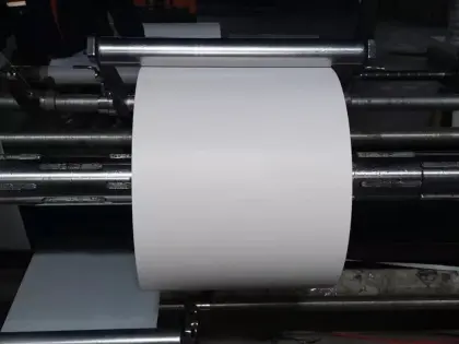 band-aid industry special pet release film