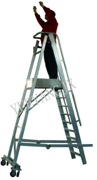 Aluminum Step Castellar Moveable Ladder