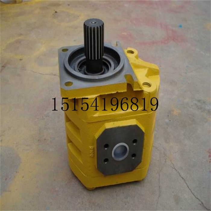Jinan Hydraulic Pump Cbgj Hydraulic Pump Cbgj3063 Cbgj3080 Cbgj3100