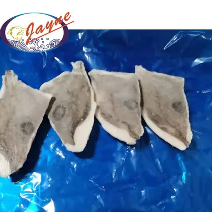 New Products Seafood Products Frozen John Dory,Vacuum Packing Frozen John Dory Fillet
