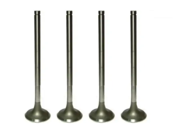 Cylinder Head Exhaust Valve