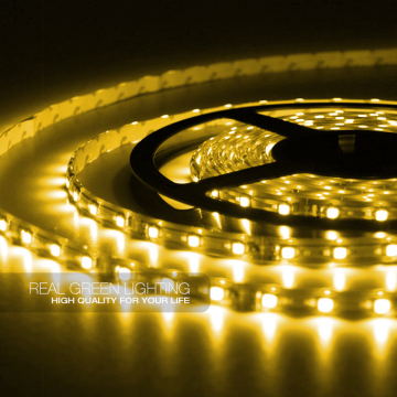 12V 5050 60 LEDs/Meter 10MM Waterproof Flexible SMD LED Strip Light