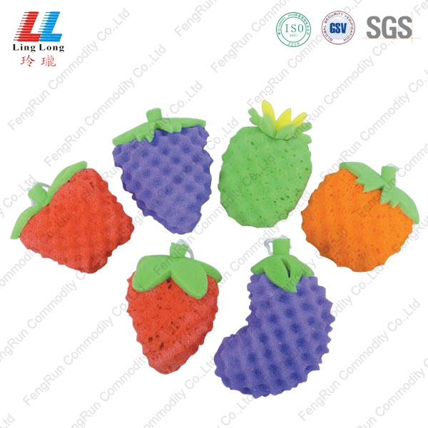 fruit vivid sponge