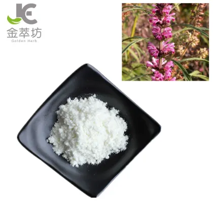 factory supply stachydrine hydrochloride 98% motherwort extract powder