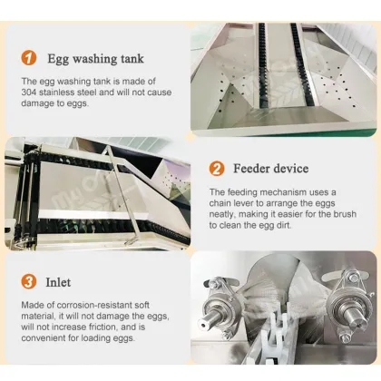 Industrial Chicken Egg Clean Machine: Salted Duck Egg Wash Machine for Sale