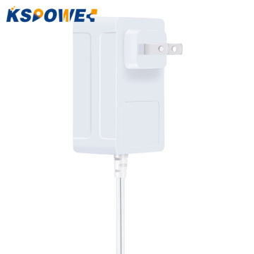 30W Wall Plug 120V to 12V/24V DC Adapter