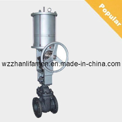 Pneumatic Operated Gate Valve Z641h (API, DIN, GB)