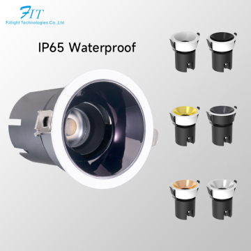 IP65 wasserdichte LED 20W Eingebrauchte Downlight -Scheinwerfer für Hotels