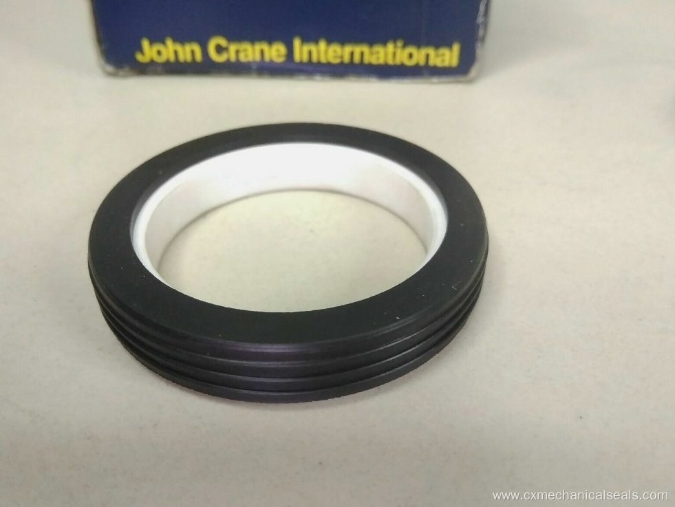 John Crane mechanical seal type 21