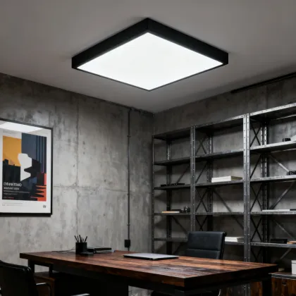 Remote Dimming Ceiling Light