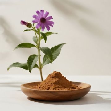Vernonium amygdalina για ενισχυμένες αντισηπτικές συνθέσεις
