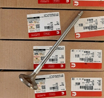 Cummins QSM11 engine intake valve 4926069X for CLG945E