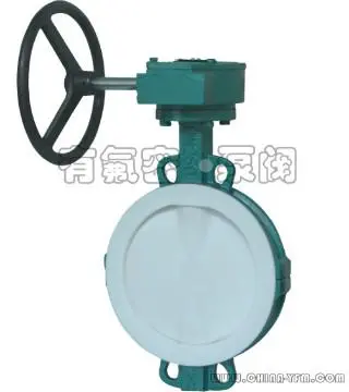 Gear Operator PTFE Lined Wafer Butterfly Valve