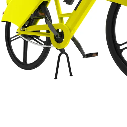 sharing electric bikes for adults electric bicycle