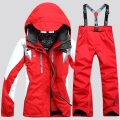 Fashion sports ski outfit