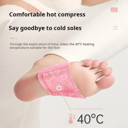 Ruofu Qi Ai Ginger Foot Warmer Patch Bag