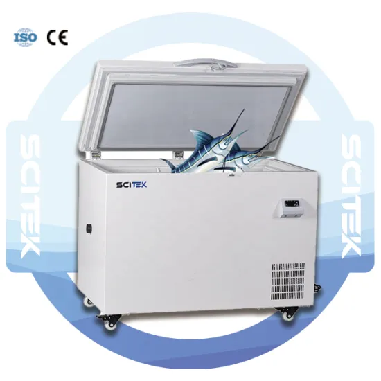 SCITEK 320L Ultra-Low Temperature Freezer with CFC-Free Refrigerant for Laboratory Use