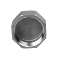 Pengecoran stainless steel fitting hex cap