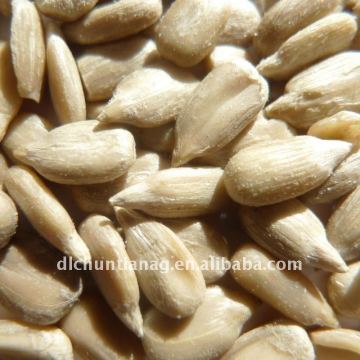 chinese sunflower seed kernels